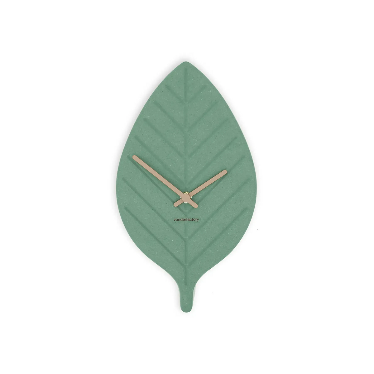 LXVAR Magnora_grün_latte