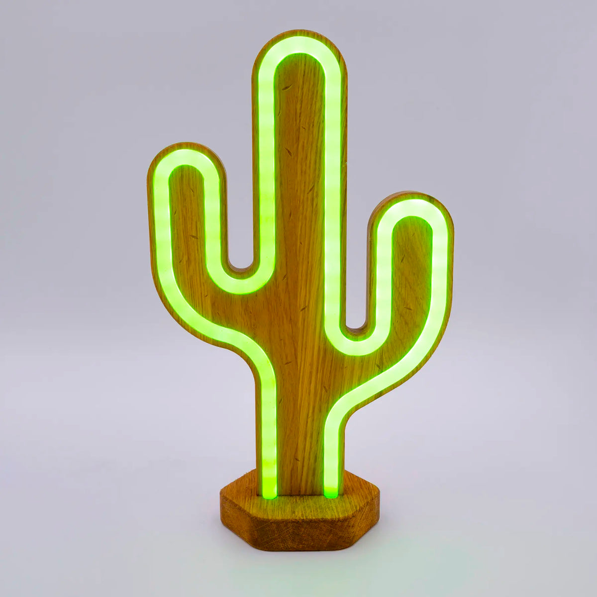 Lignulux DUAL-COLOR Tropical Trio – LED Neon Lamp Set