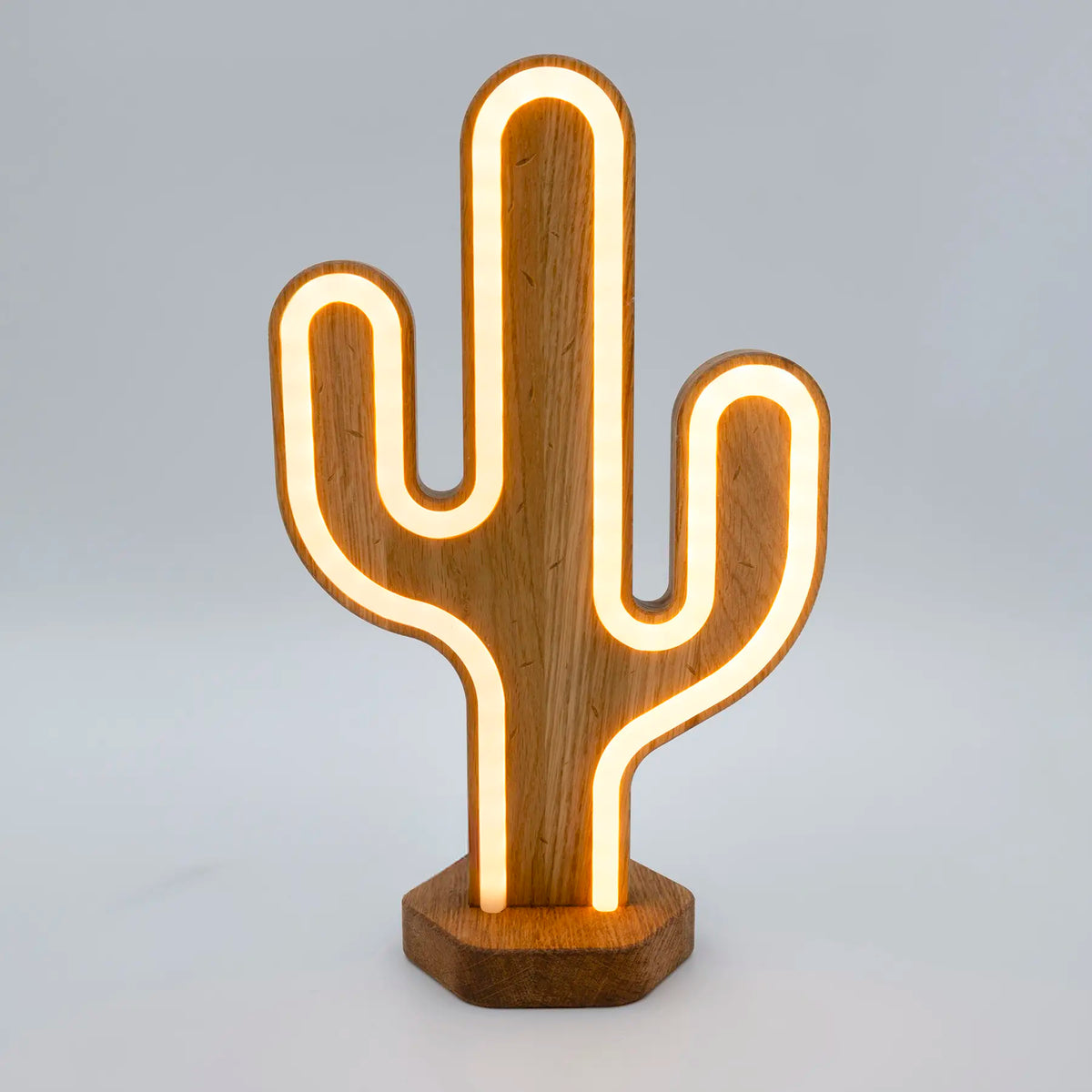 Lignulux DUAL-COLOR Tropical Trio – LED Neon Lamp Set