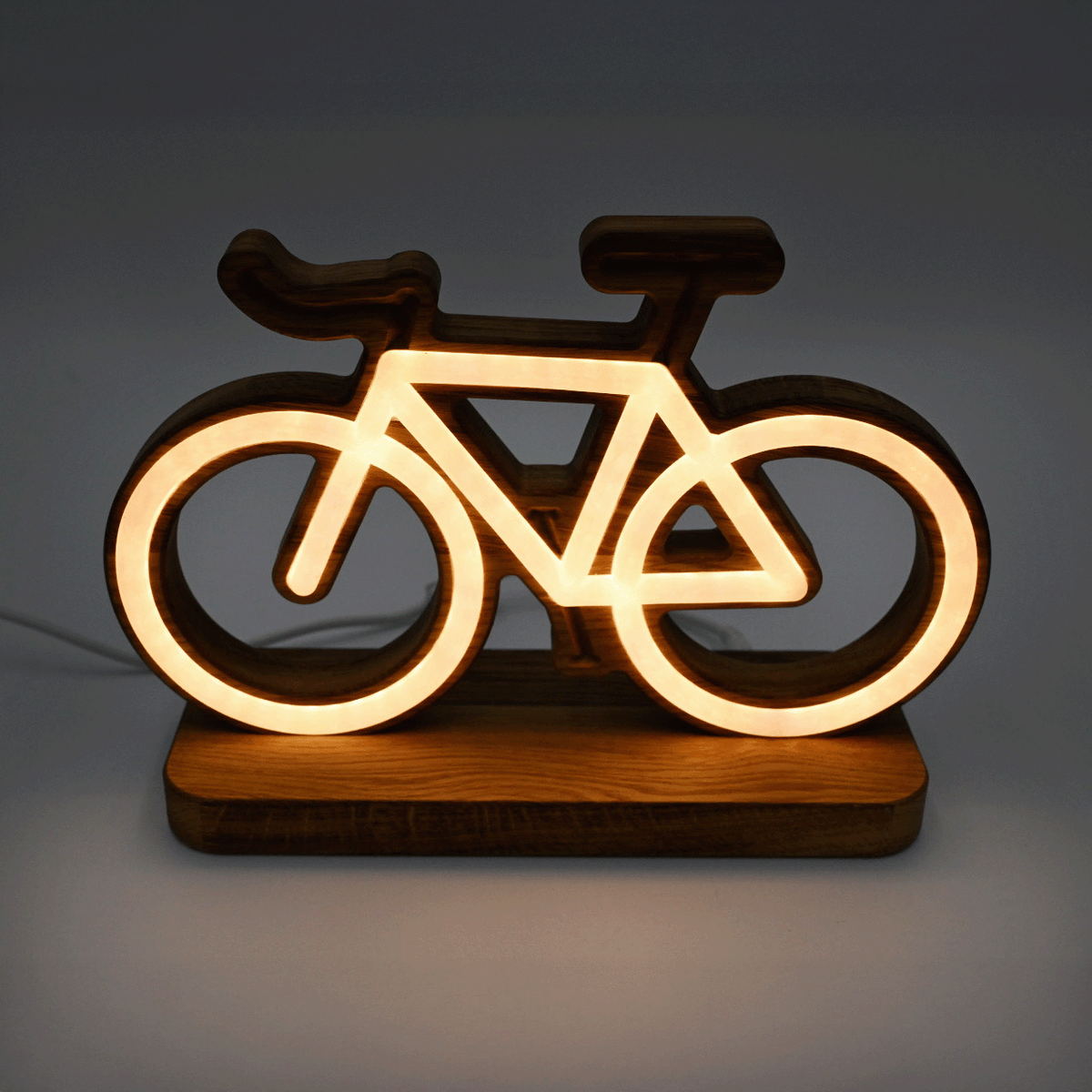 Lignulux Lena die Leeze – Fahrrad LED Neonlampe von der Factory